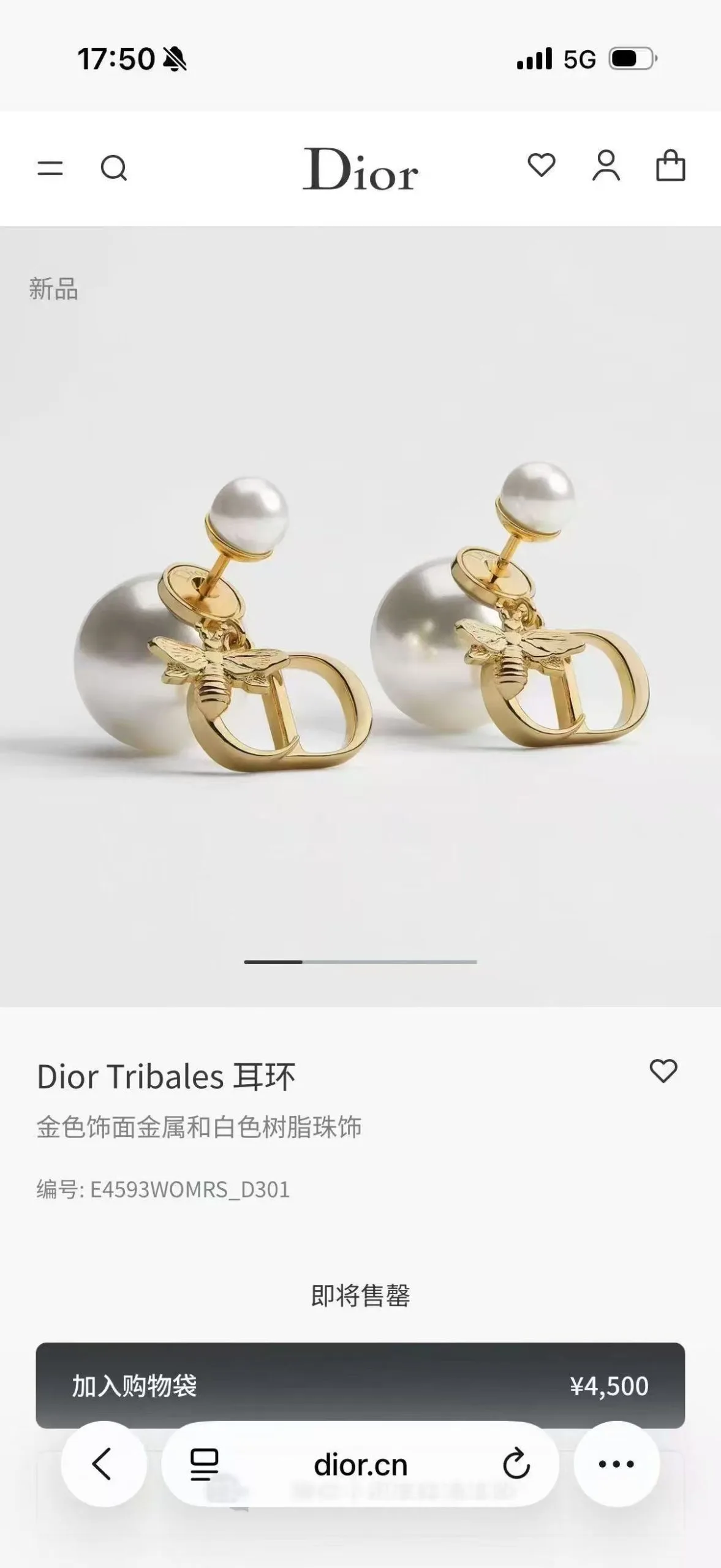 Dior Earrings