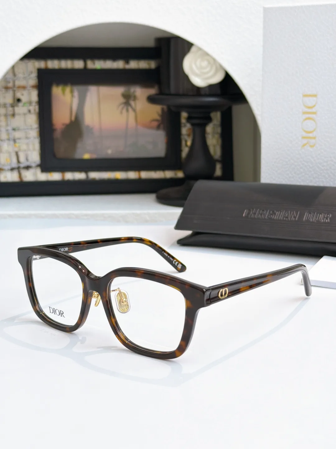 Dior Glasses
