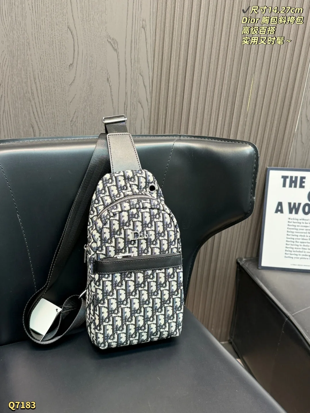 Dior Crossbody Bag