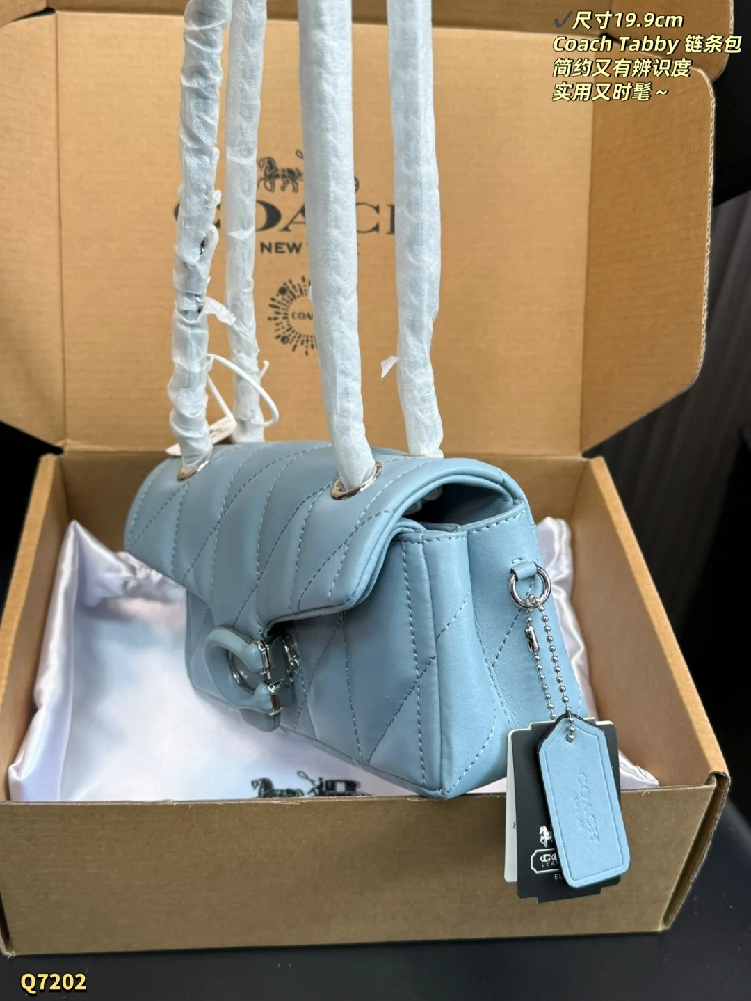Coach Chain Bag