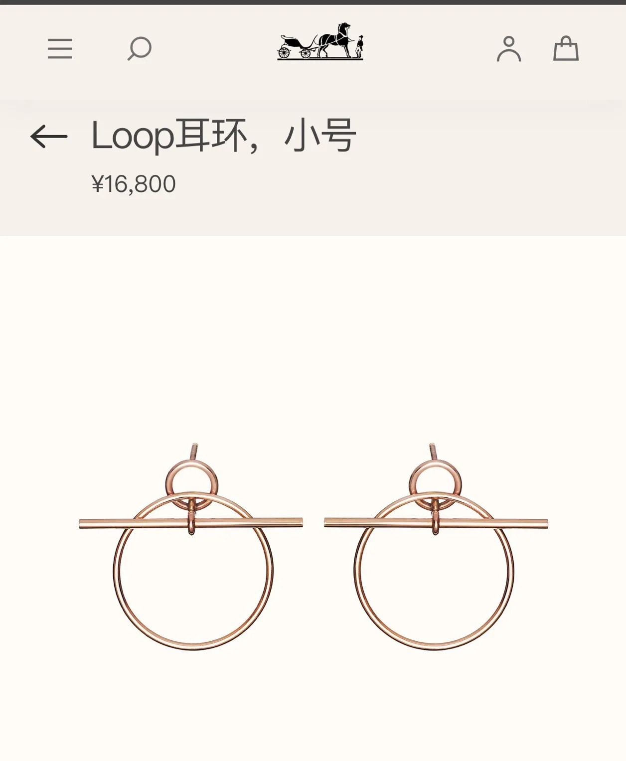 Hermès Earrings