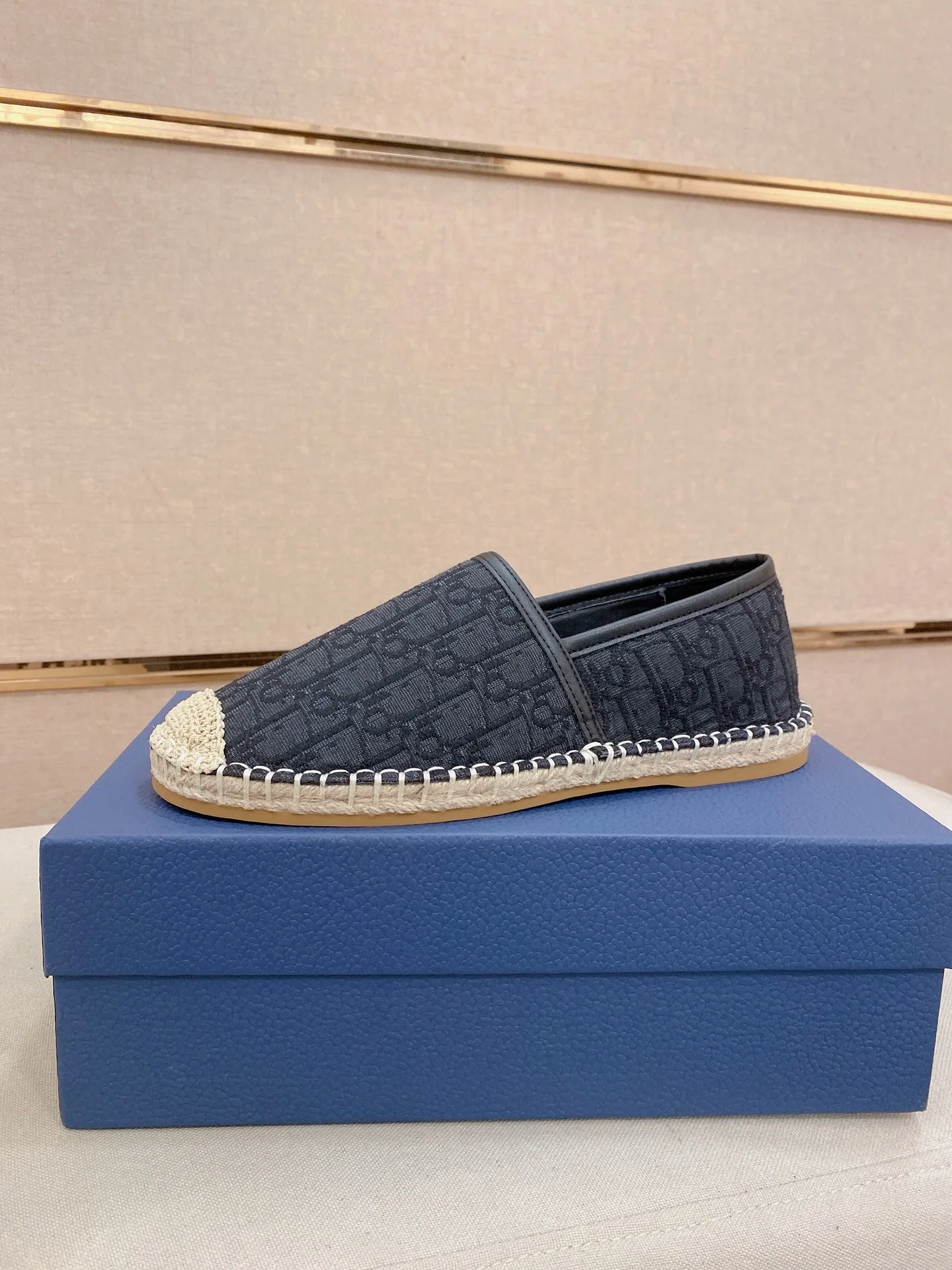 Dior Casual Shoes