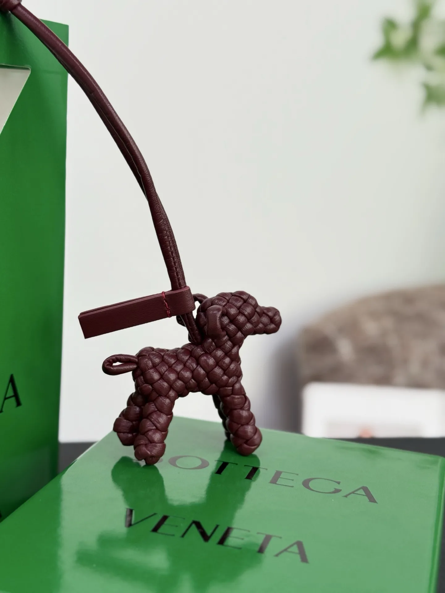 Bottega Veneta Backpack
