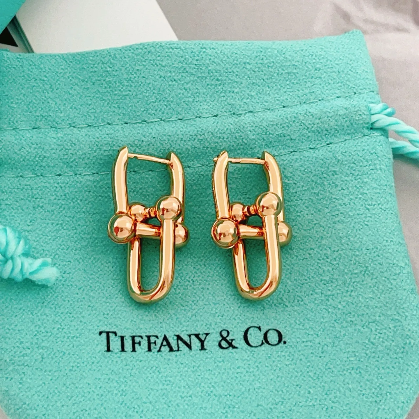 Tiffany Earrings