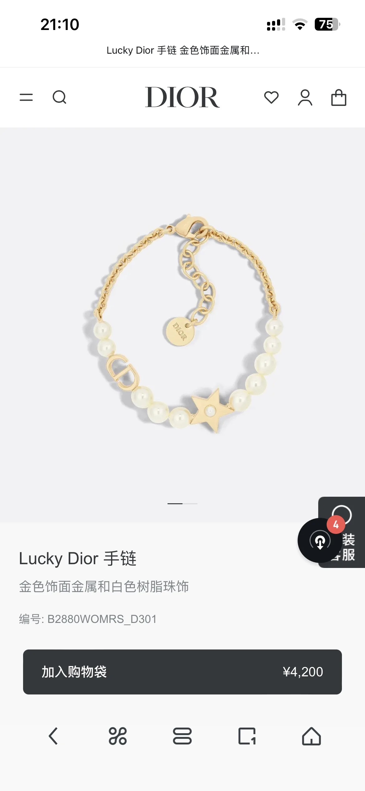 Dior Set