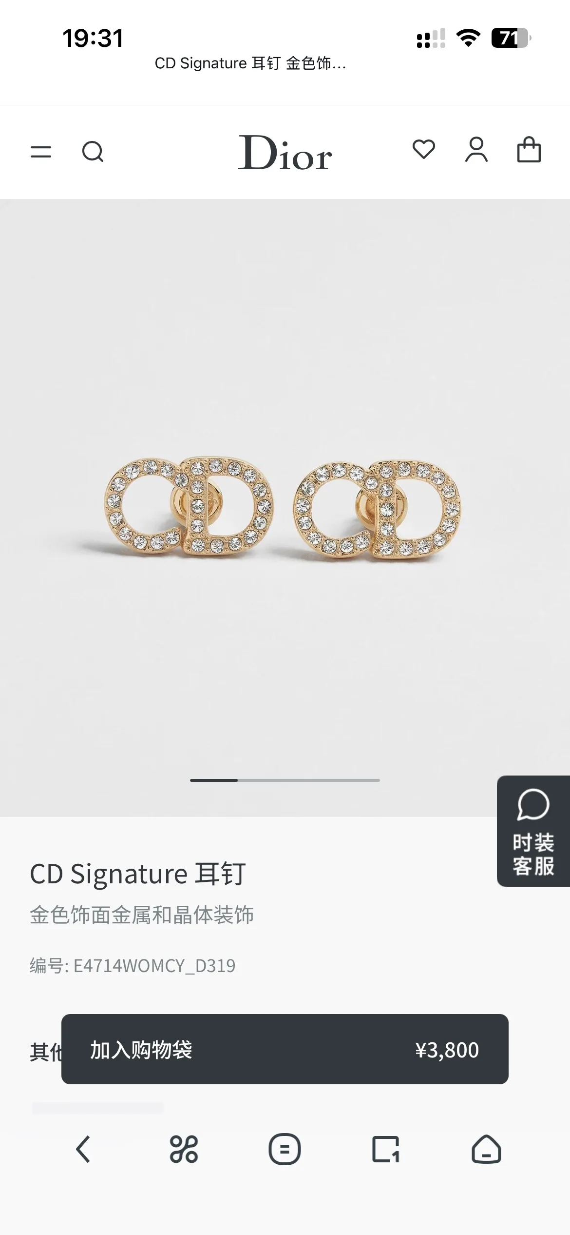 Dior Earrings