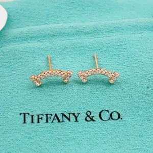 Tiffany Earrings
