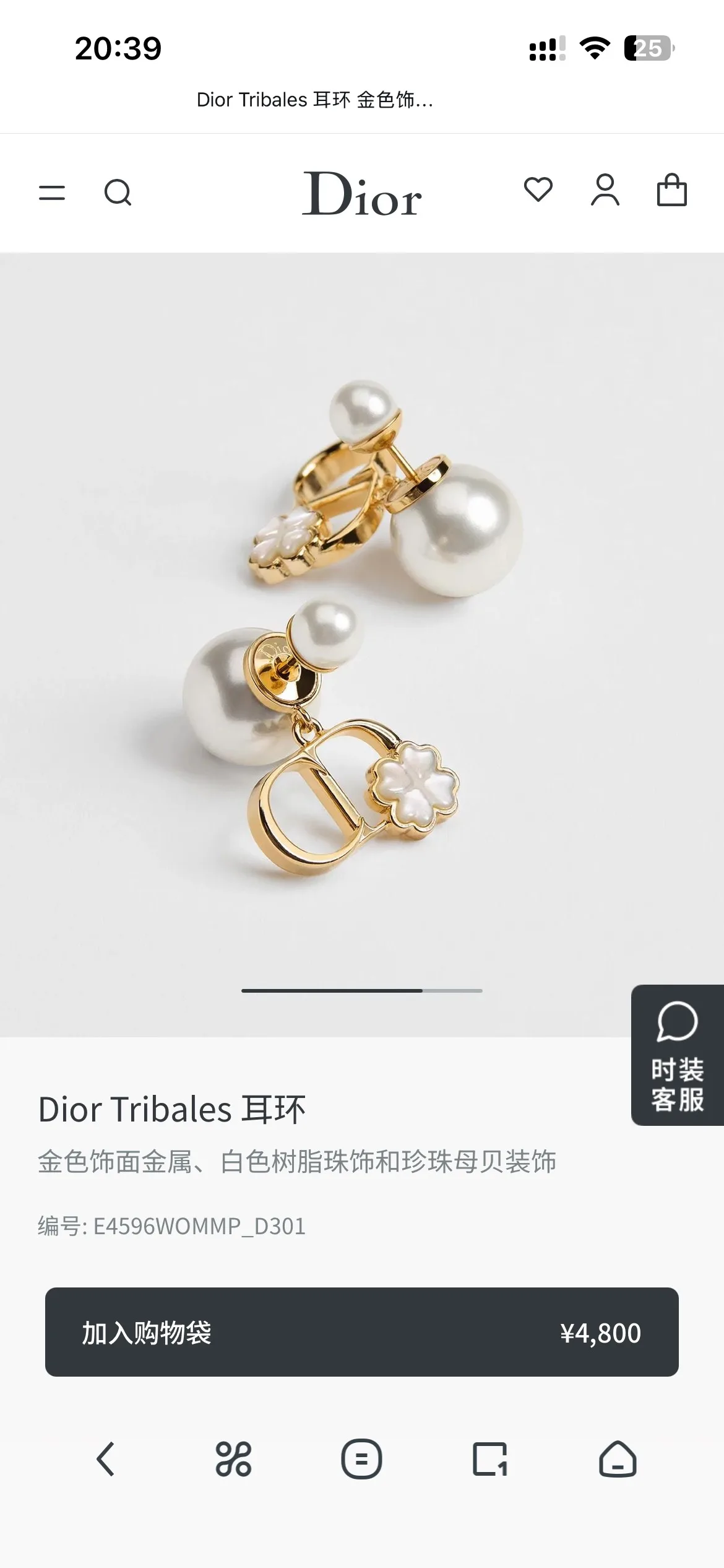 Dior Earrings
