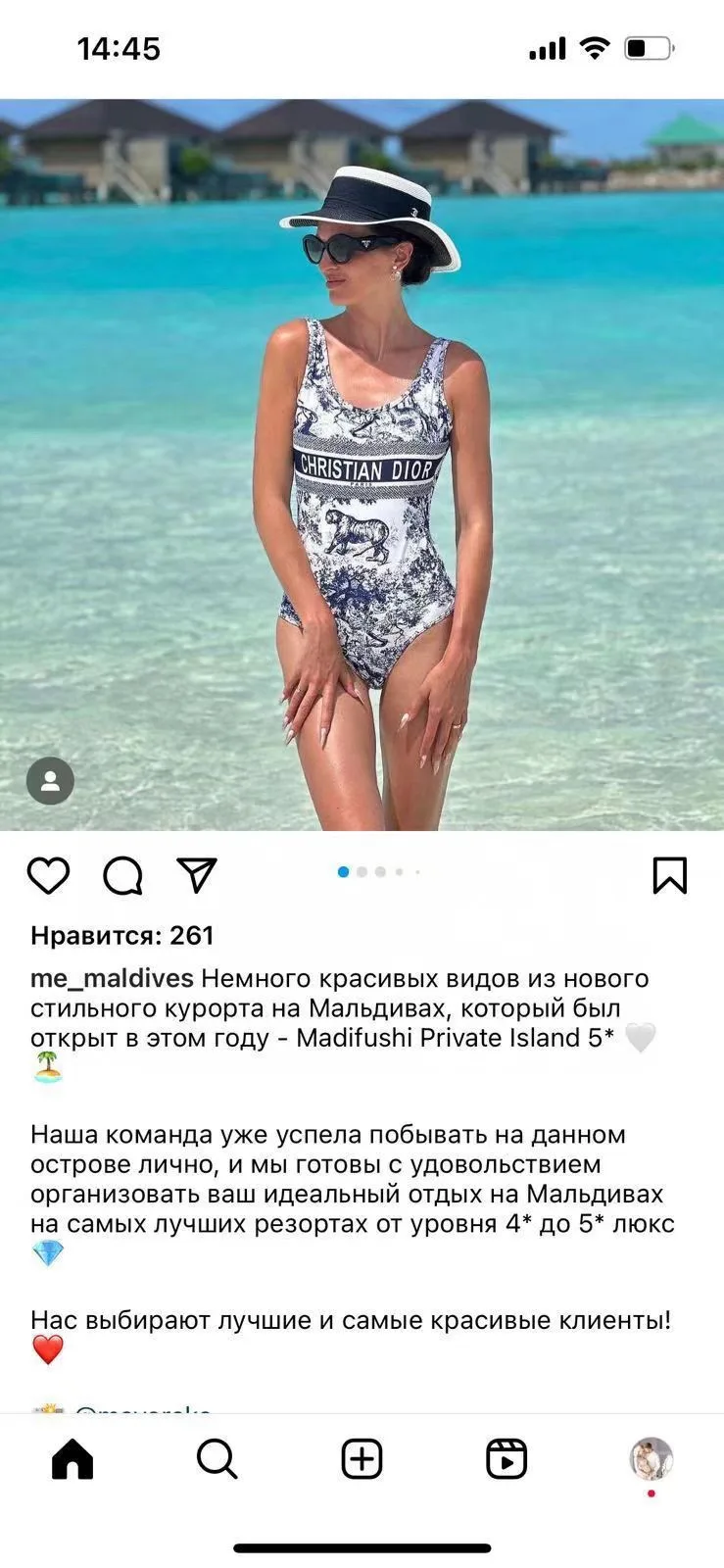 Dior Swimsuit
