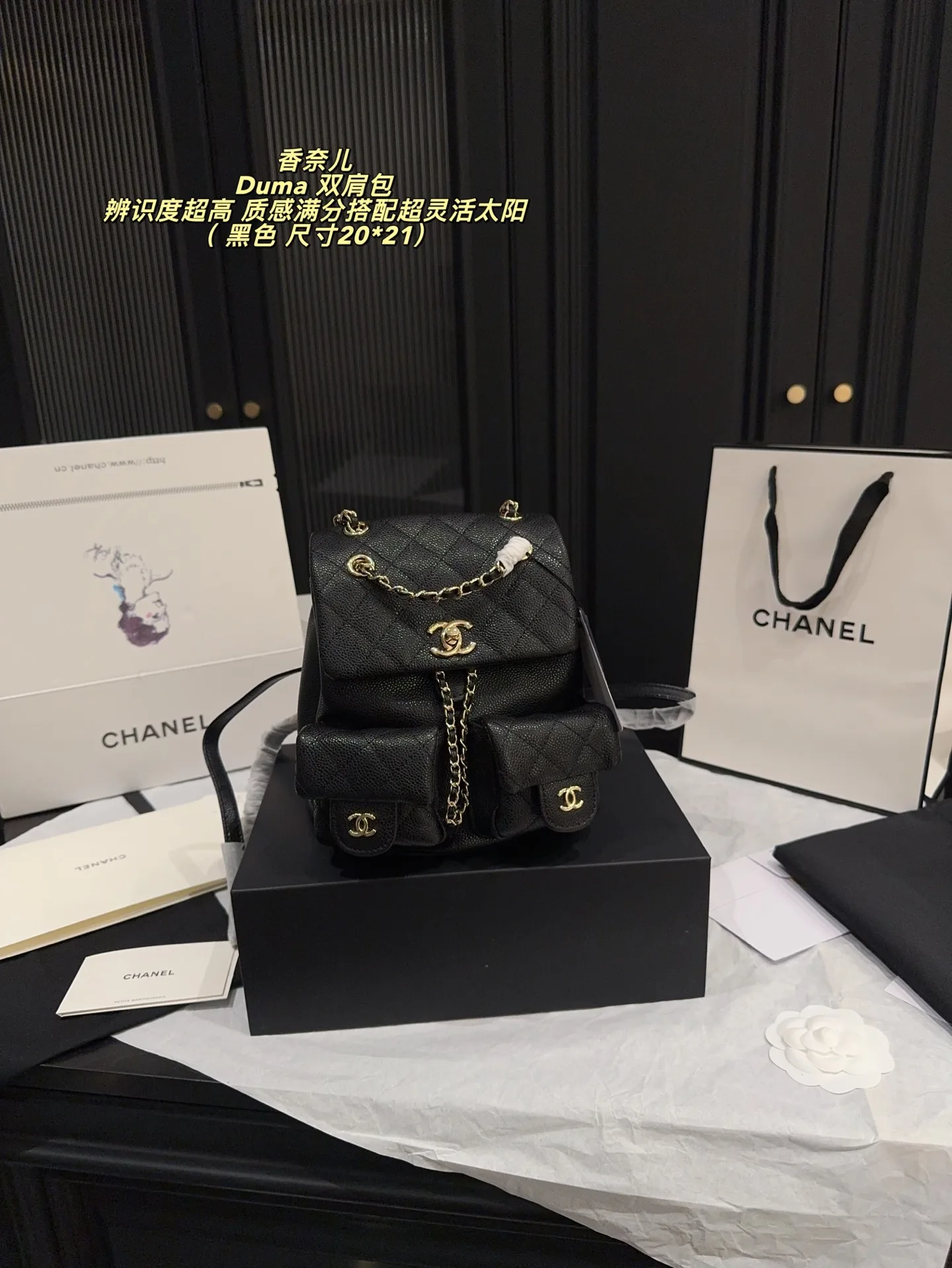 Chanel Backpack