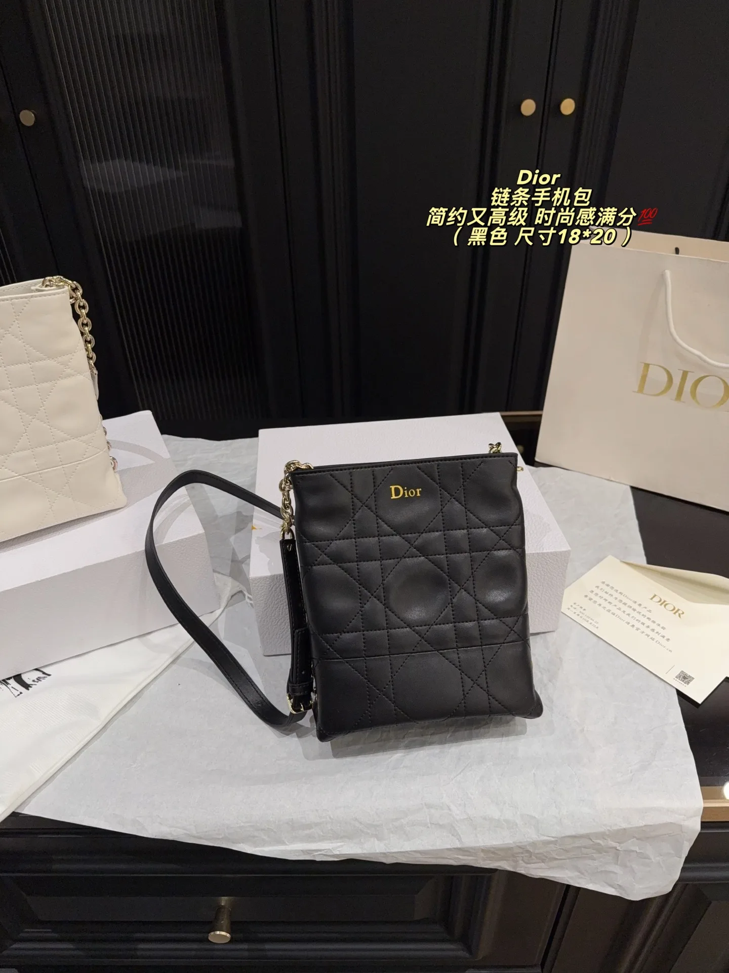 Dior Phone Bag