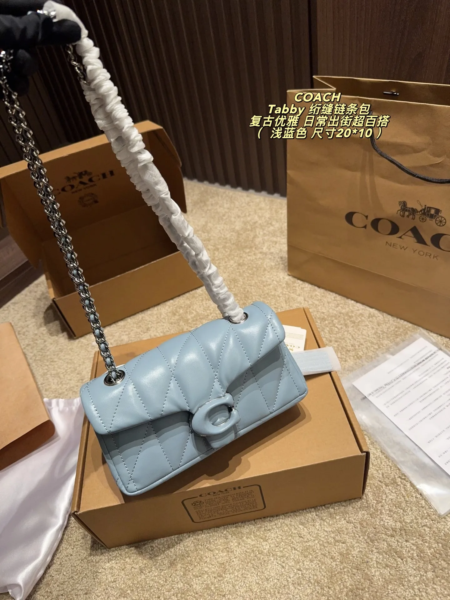 Coach Chain Bag